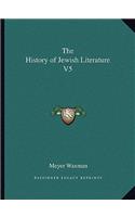 History of Jewish Literature V5