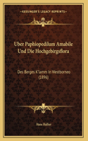 Uber Paphiopedilum Amabile Und Die Hochgebirgsflora