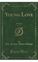 Young Love, Vol. 2 of 3: A Novel (Classic Reprint)