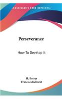 Perseverance