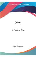 Jesus: A Passion Play(English)