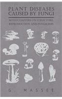 Plant Diseases Caused by Fungi - With Chapters on Structure, Reproduction and Fungicides