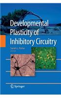 Developmental Plasticity of Inhibitory Circuitry