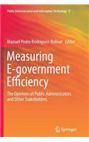 Measuring E-Government Efficiency