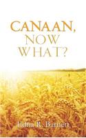 Canaan, Now What?