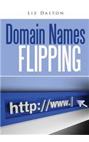 Domain Names Flipping