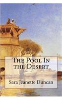 Pool In the Desert