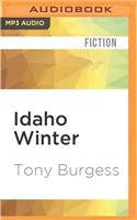 Idaho Winter