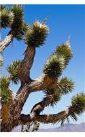 An Exquisite Joshua Tree in the Desert Close Up USA National Park Journal: 150 Page Lined Notebook/Diary