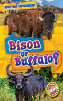 Bison or Buffalo?