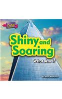Shiny and Soaring: What Am I?(American Place Puzzlers)