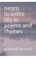 negro israelite life in poems and rhymes