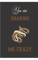 You are snaking me crazy: Snake gifts for women, and men: cute & elegant blank Lined notebook/Journal to write in.