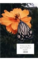 This Is My Butterfly Year: Diary 2020