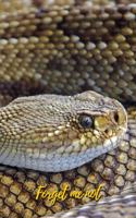 Forget Me Not: The Rattlesnake.Internet Password Logbook with alphabetical tabs.Personal Address of websites, usernames, passwords notebook/Journal/Organizer/Keepe