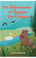 Adventures of Stripes the Gopher