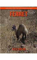 Ferret! Learn about Ferret and Enjoy Colorful Pictures