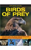 Exploring Nature: Birds of Prey