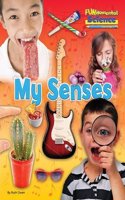 My Senses: (FUNdamental Science Key Stage 1)
