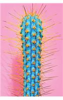 Pink Cactus Notebook Journal