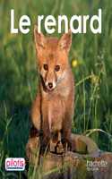 Le renard (Lecture CP Pilotis)