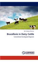 Brucellosis in Dairy Cattle