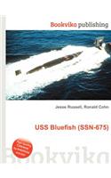 USS Bluefish (Ssn-675)
