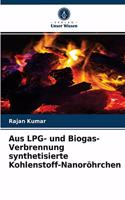 Aus LPG- und Biogas-Verbrennung synthetisierte Kohlenstoff-Nanoröhrchen