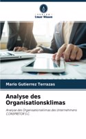 Analyse des Organisationsklimas