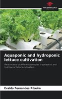 Aquaponic and hydroponic lettuce cultivation