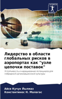 &#1051;&#1080;&#1076;&#1077;&#1088;&#1089;&#1090;&#1074;&#1086; &#1074; &#1086;&#1073;&#1083;&#1072;&#1089;&#1090;&#1080; &#1075;&#1083;&#1086;&#1073;&#1072;&#1083;&#1100;&#1085;&#1099;&#1093; &#1088;&#1080;&#1089;&#1082;&#1086;&#1074; &#1074; &#10