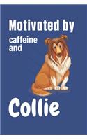 Motivated by caffeine and Collie