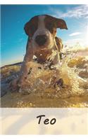Teo: Tagebuch / Journal Personalisiertes Notizbuch Teo - individuelles Namensbuch mit Hunde Motiv - DIN A5 100 Seiten - liniert