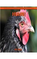 Huhn! Ein pädagogisches Kinderbuch über Huhn mit lustigen Fakten