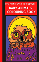 Big Print Baby Animals Colouring Book
