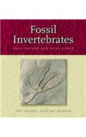 Fossil Invertebrates