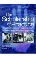 The Scholarship of Practice