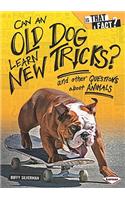 Can an Old Dog Learn New Tricks?: And Other Questions about Animals: And Other Questions About Animals