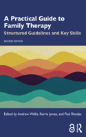 Practical Guide to Family Therapy