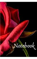 Notebook: Planner / Notebook / Journal / Diary - wide ruled paper - 120 pages - 6x9. Wonderful Rose Cover