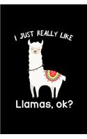 I Just Really Like Llamas, Ok?