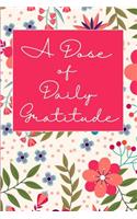 Daily Gratitude Journal