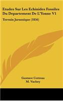 Etudes Sur Les Echinides Fossiles Du Departement De L'Yonne V1