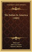 The Italian in America (1905)