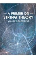 Primer on String Theory