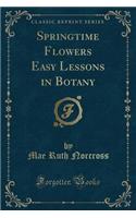 Springtime Flowers Easy Lessons in Botany (Classic Reprint)