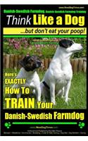 Danish-Swedish Farmdog, Danish-Swedish Farmdog Training Think Like a Dog But Don't Eat Your Poop! Danish-Swedish Farmdog Breed Expert Training