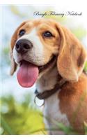 Beagle February Notebook Beagle Record, Log, Diary, Special Memories, To Do List, Academic Notepad, Scrapbook & More