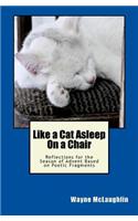 Like a Cat Asleep On a Chair