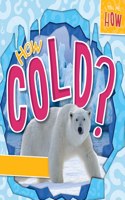 How Cold?